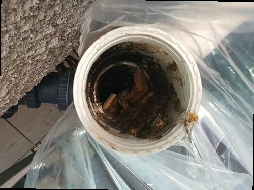 포천 선단동 하수구막힘 상가 하수구 역류 부분 세척과 전면 점검, 무엇이 다를까