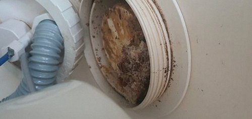 포천 하수구막힘 신읍동 하수구막힘 아파트 배수 지연 전 확인할 점검 항목