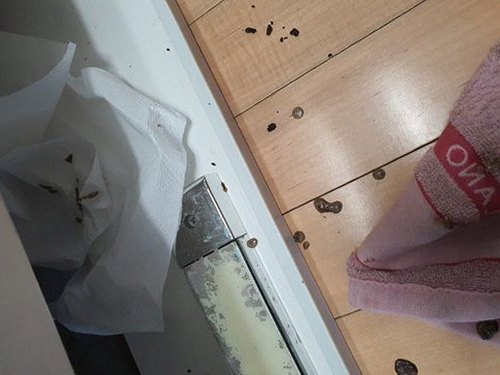 포천 하수구막힘 자작동 하수구막힘 아파트 싱크대에 숨은 기름때 원인
